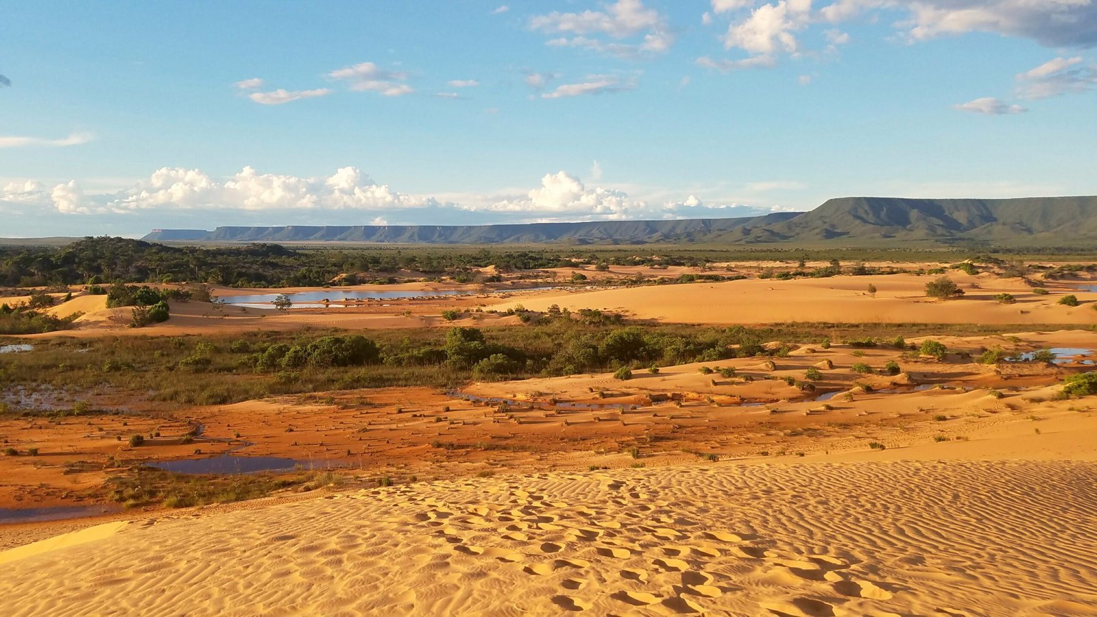O CERRADO NA ENCRUZILHADA DE UM FUTURO NÃO TÃO DISTANTE 1 Vista das Dunas do Parque Estadual do Jalapao scaled