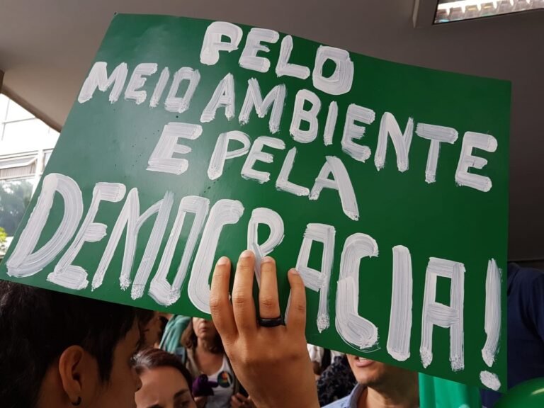 Brasil 2025: Desafios e Caminhos para o Movimento Socioambiental