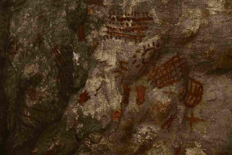 TOCA DA ONÇA: MEMÓRIA DA FORMOSA DE ONTEM