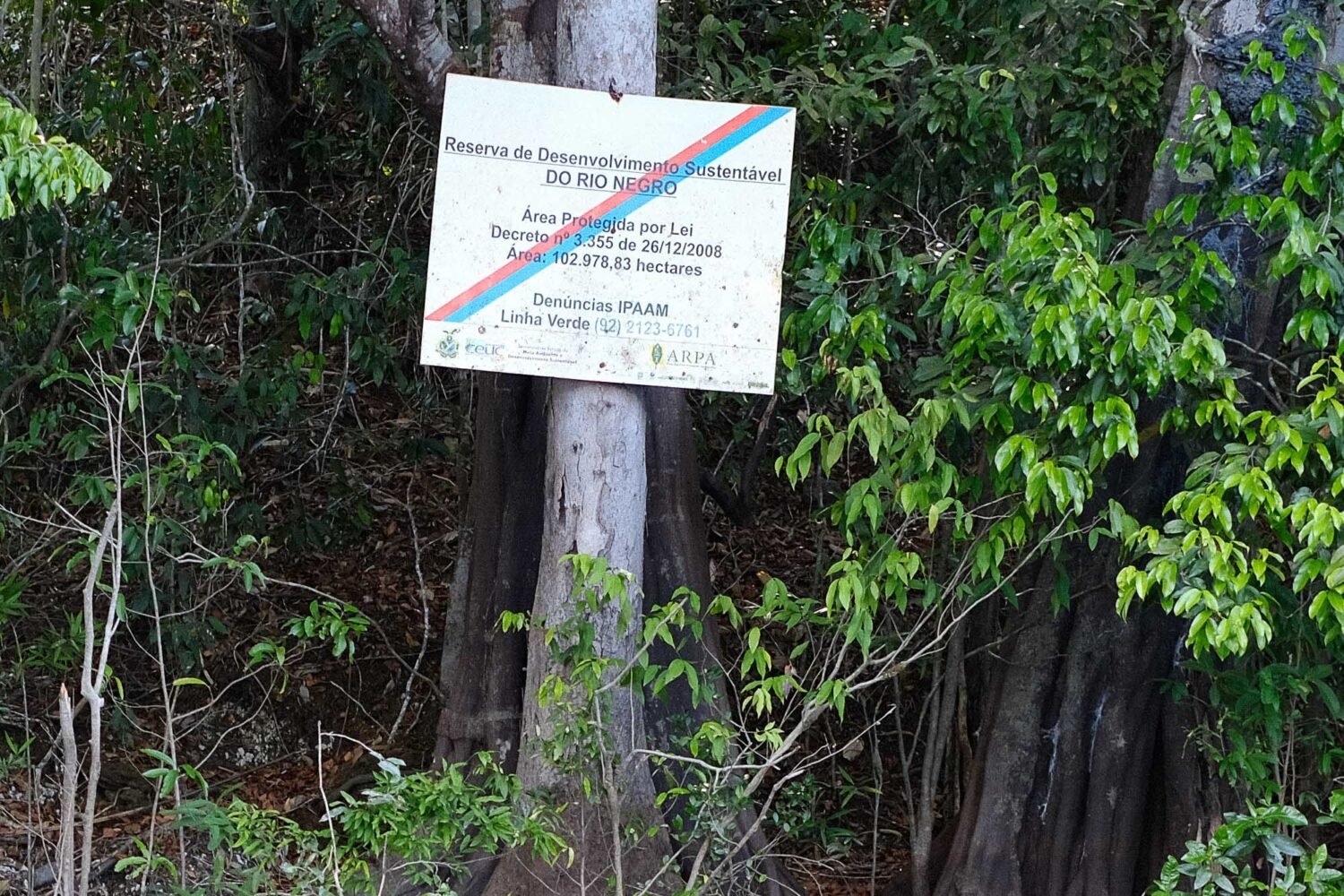 RDS RIO NEGRO 451 1500x1000 1