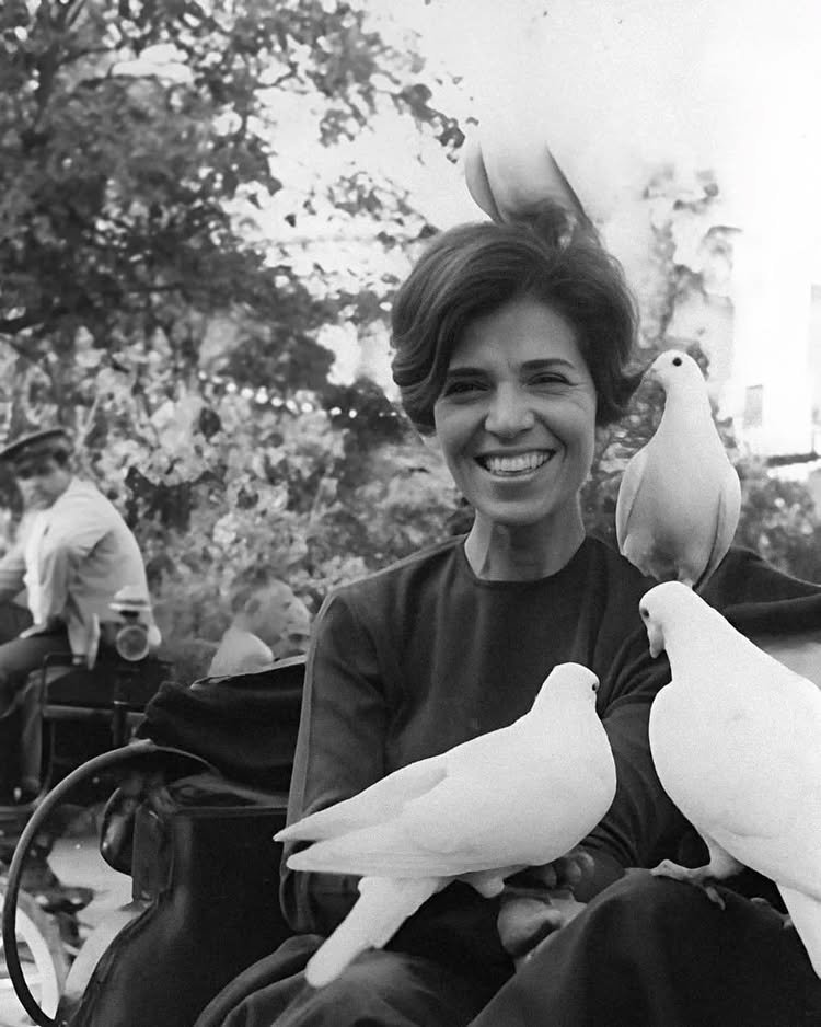 EUNICE PAIVA: UMA MULHER DE MUITAS LUTAS 10 472943135 18119967193414741 6227701019857865558 n