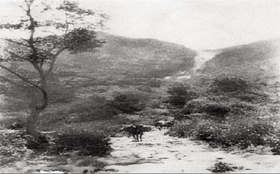 O TRATAMENTO DAS DOENÇAS NO ARRAIAL DE COUROS