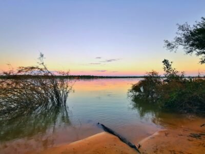O CERRADO E OS RIOS DO AMAZONAS