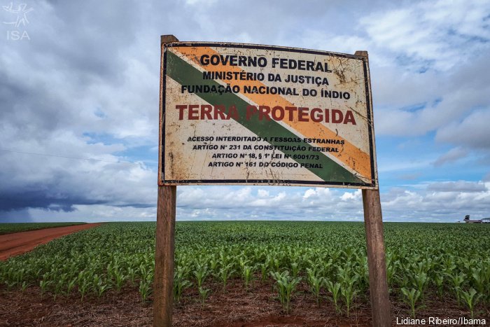 SENADO APROVA O PL DA DEVASTAÇÃO AMBIENTAL 2 ibama 1