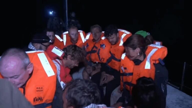 Ana Prestes aponta “requintes de tortura” de Israel contra ativistas