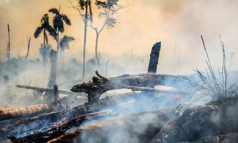 LÁ VEM O VERÃO AMAZÔNICO – E O FUMACEIRO