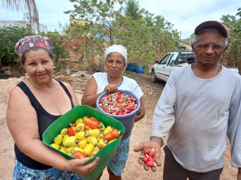 COLETORAS DE SEMENTES TENTAM EVITAR DETRUIÇÃO DO CERRADO