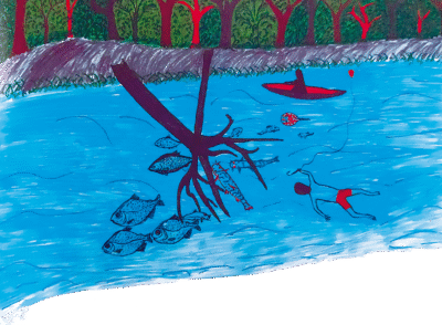 CALENDÁRIO DA FLORESTA SEGUNDO O POVO ASHANINKA 