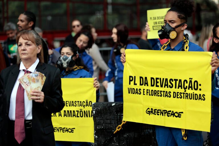 PL DA DEVASTAÇÃO DESMONTA POLÍTICA AMBIENTAL DO BRASIL