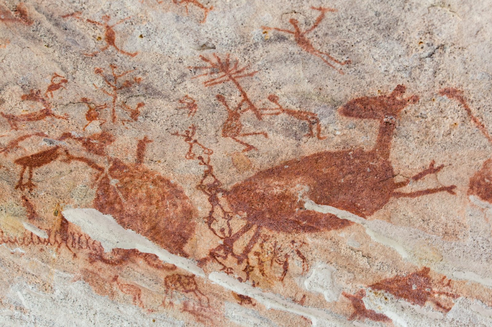 Foto: Parque Nacional Serra da Capivara 