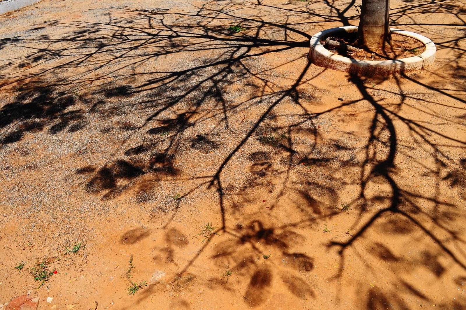 A TERRA COMO SUJEITO: UMA ALTERNATIVA JURÍDICA E ANCESTRAL PARA A CRISE CLIMÁTICA 2 A TERRA COMO SUJEITO: UMA ALTERNATIVA JURÍDICA E ANCESTRAL PARA A CRISE CLIMÁTICA