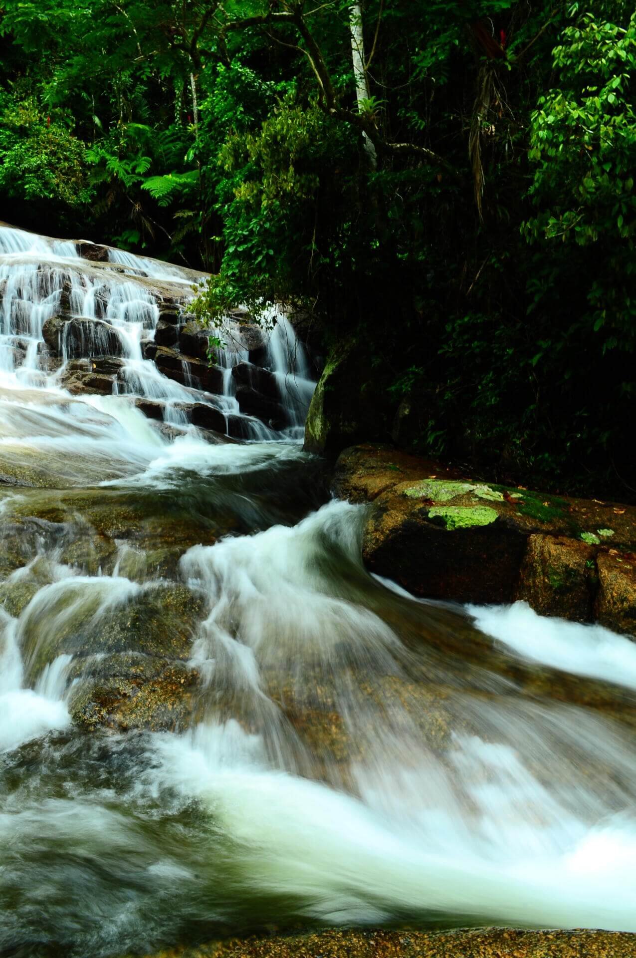 A TERRA COMO SUJEITO: UMA ALTERNATIVA JURÍDICA E ANCESTRAL PARA A CRISE CLIMÁTICA 1 5414355076 f44034748d o