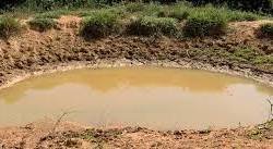 CSAS: COMUNIDADES QUE SUSTENTAM A AGRICULTURA 2 programa agua minas