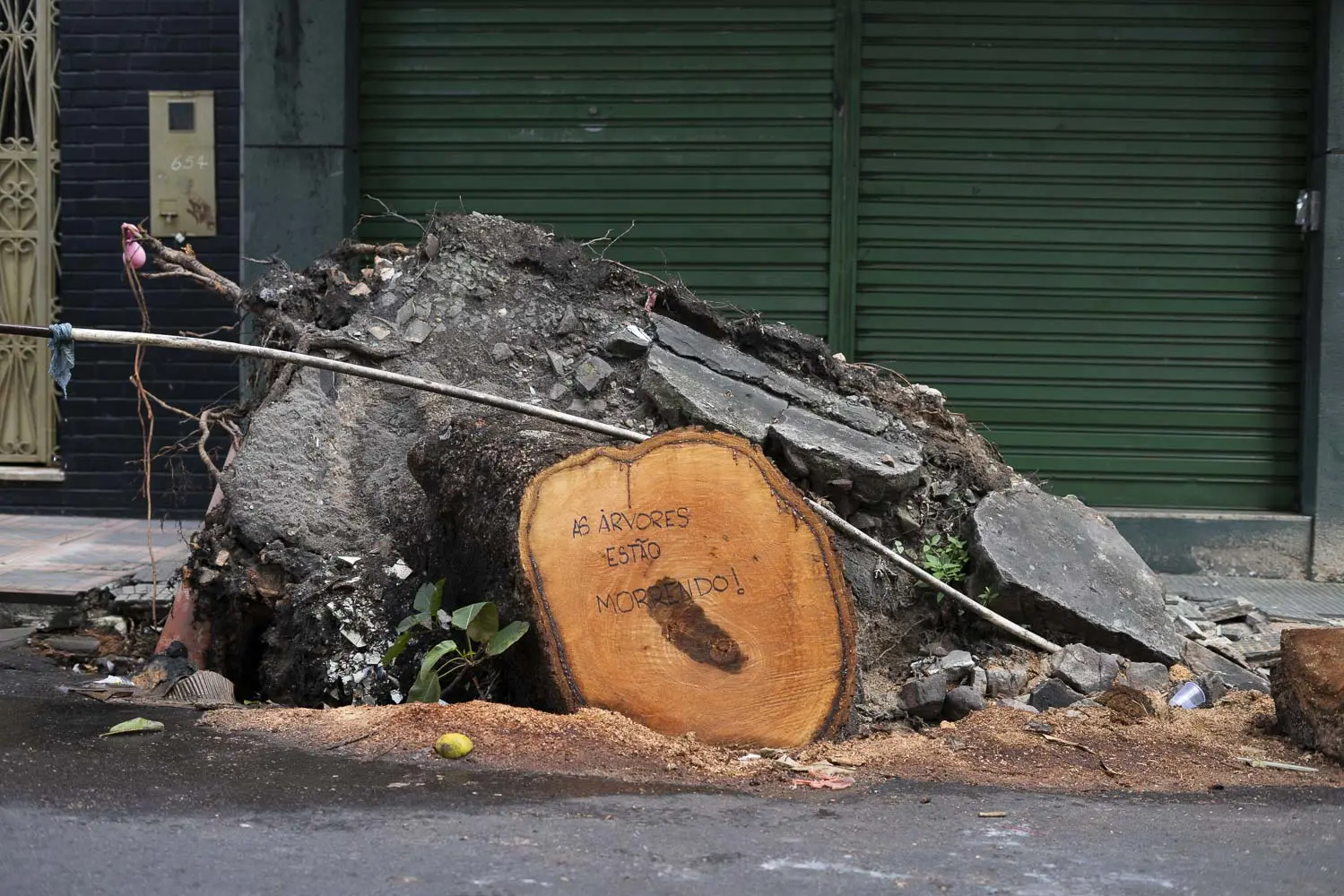 O COLAPSO DAS ÁRVORES EM MANAUS