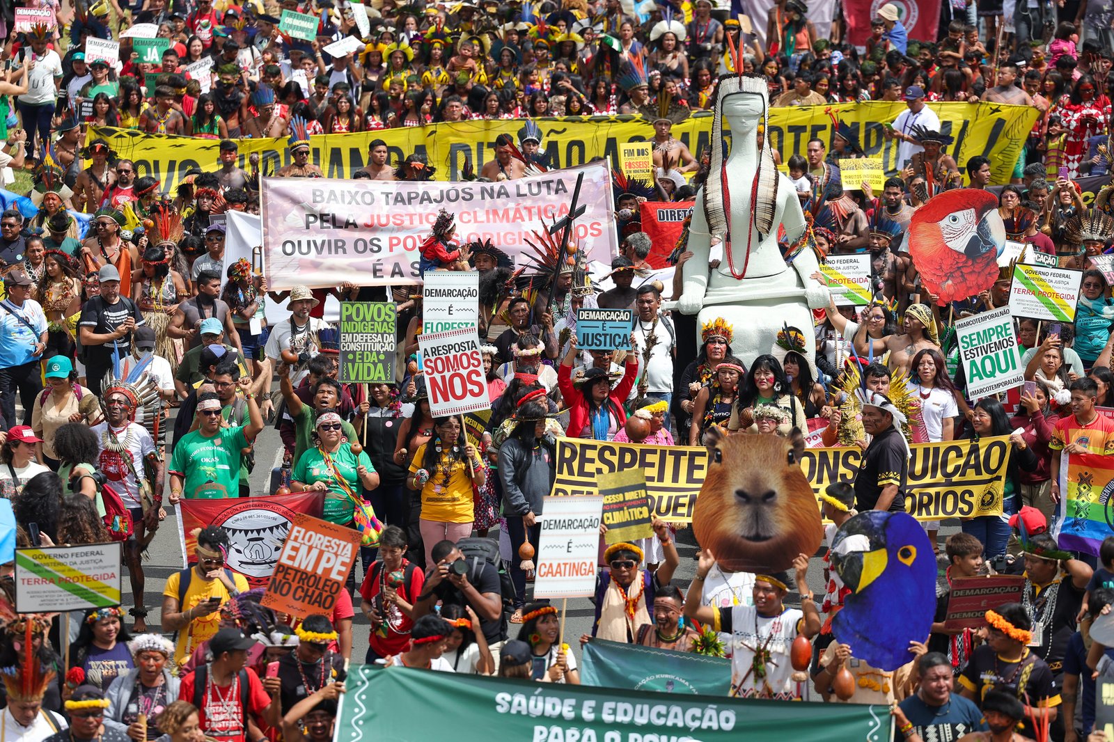 fa443dcc f009 428d 82a9 3085ee97fc09