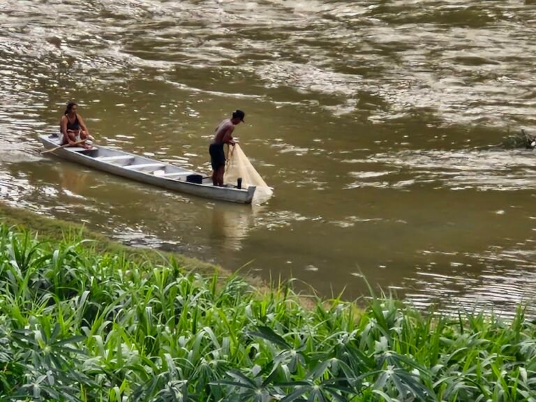 SETEMBRO: FLORES, FERIDAS E O LAMENTO DO RIO