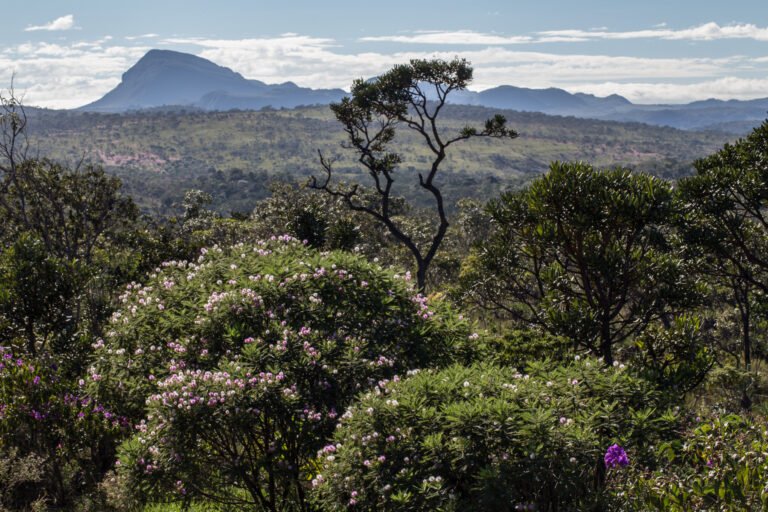 Chacina da PM na Chapada segue sem resposta