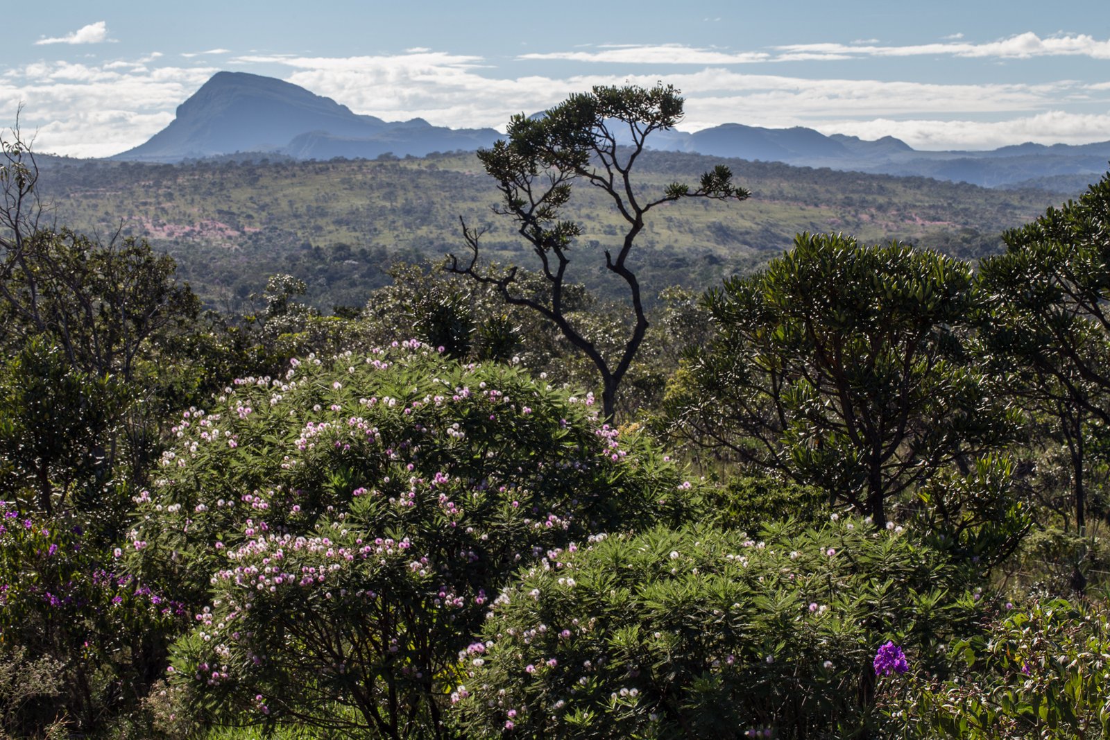 Parque Nacional Chapada dos veadeiros 2