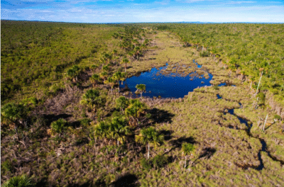 ÁGUAS EMENDADAS SOB PRESSÃO: OS DESAFIOS DA CONSERVAÇÃO