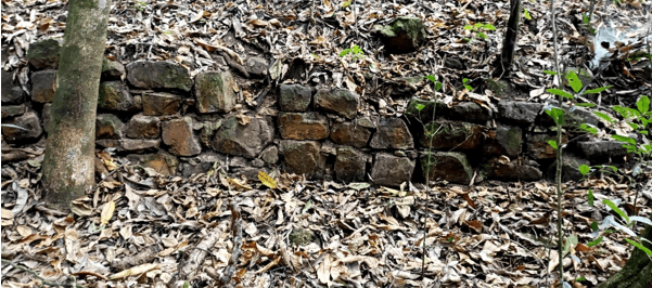 Captura de tela 2025 10 24 143055