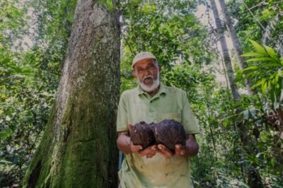 RAIMUNDÃO: UM VELHO E SÁBIO GUARDIÃO DA FLORESTA 1 Raimundao Raimundo Mendes ICM Bio