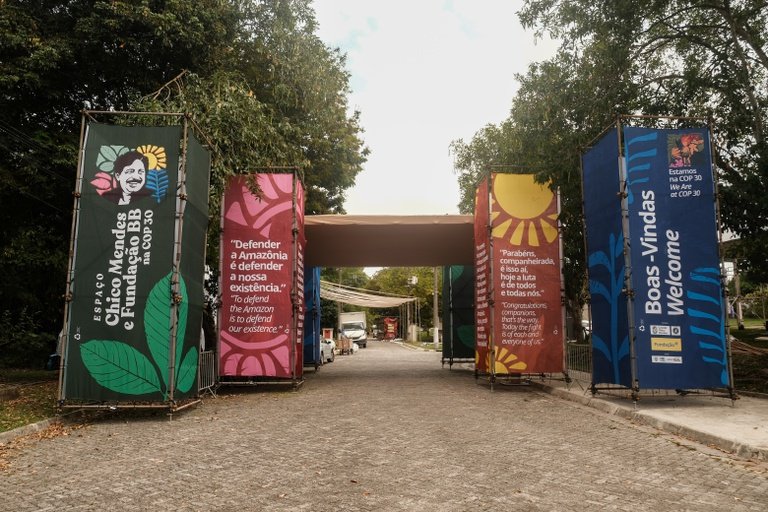 “Espaço Chico Mendes e Fundação BB na COP 30” é aberto nesta sexta-feira, no Museu Goeldi