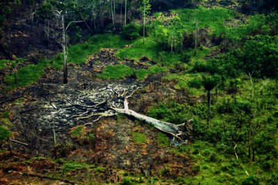 dc606726 3d8a 4c8d 805e 53b8c4682d39