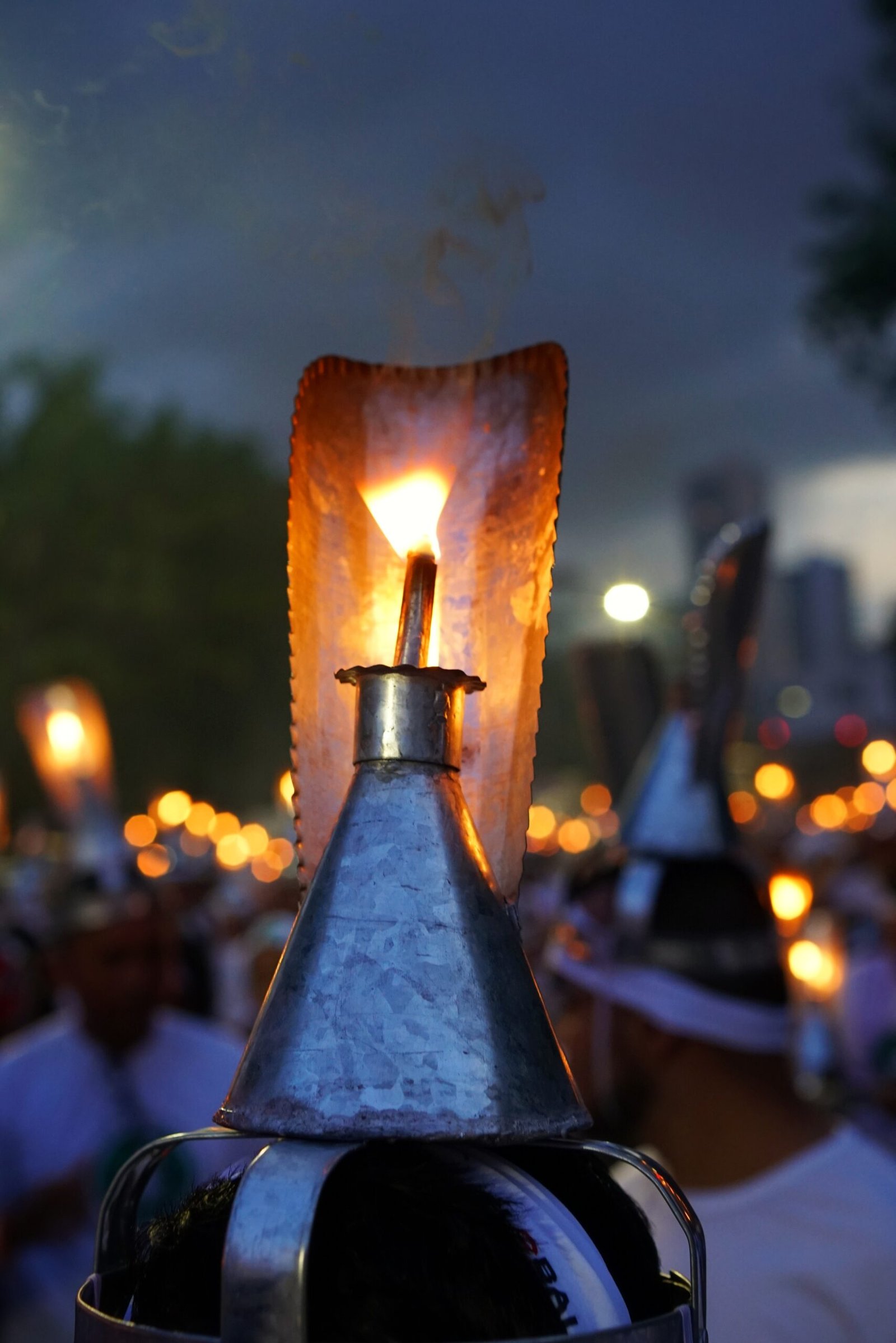 COMITÊ CHICO MENDES: GUARDIÃO DO LEGADO DE CHICO MENDES 8 1000191681 scaled