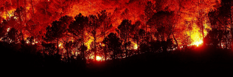 COP 30: ADAPTAÇÃO OU PREVENÇÃO?