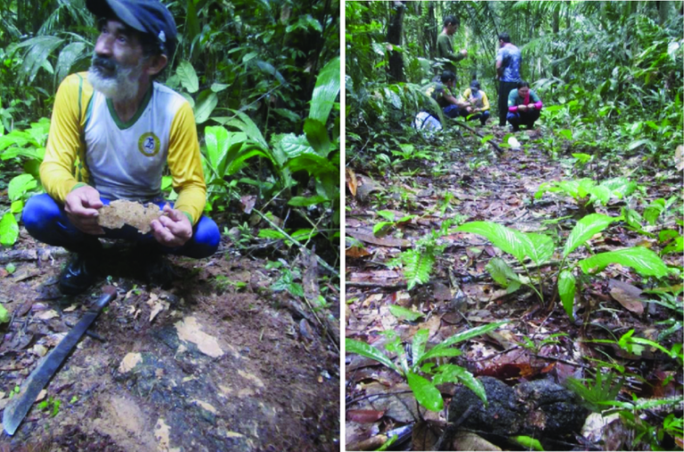 KATAWIXI: VESTÍGIOS DE UM POVO ÀS MARGENS DA BR-319