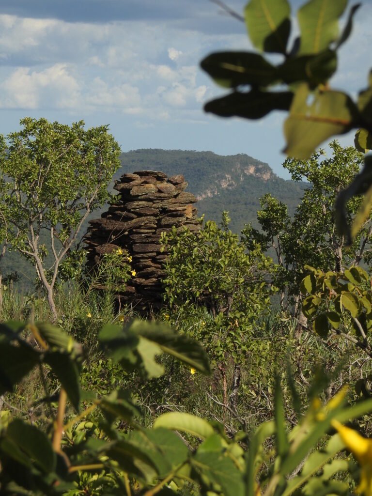 O CARÁTER XEROMORFO DO CERRADO