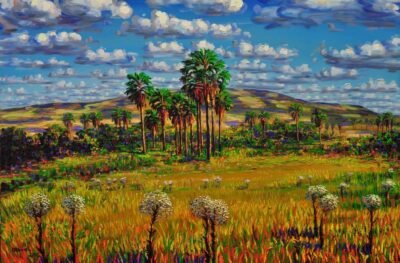 Cerrado 04 Otoniel Fernandes Neto