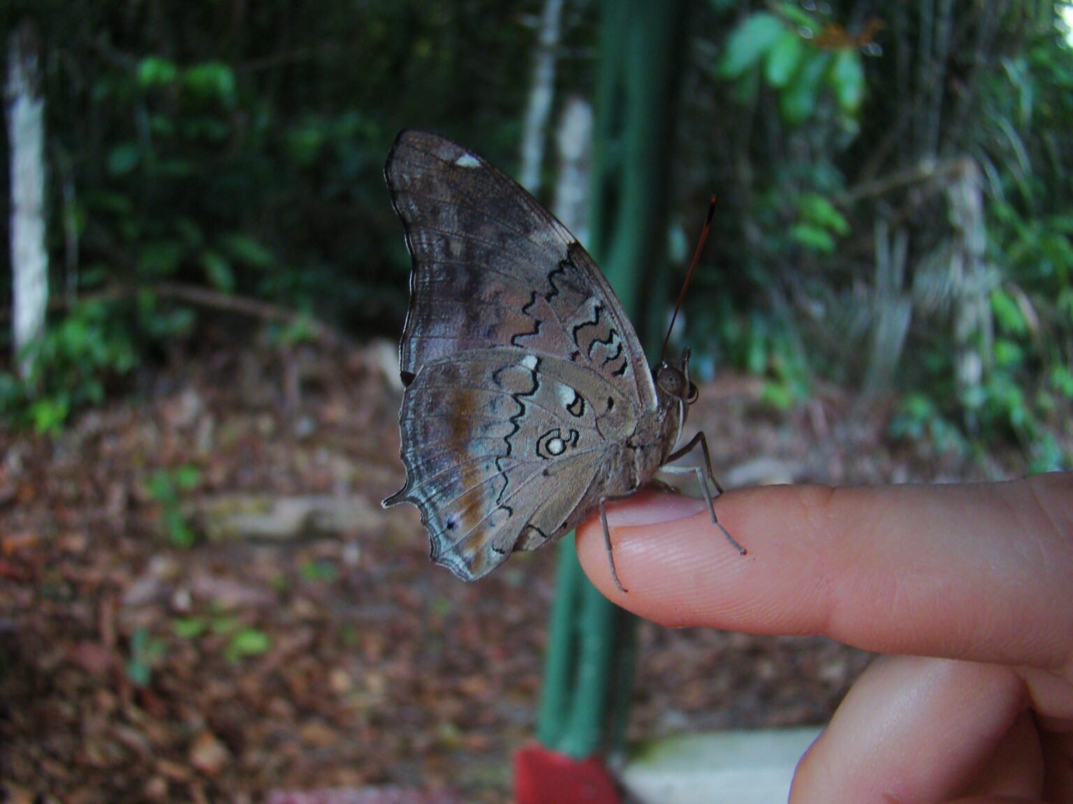 Foto 2. Historis acheronta Foto Cristiano Agra Iserhard 1536x1152 1