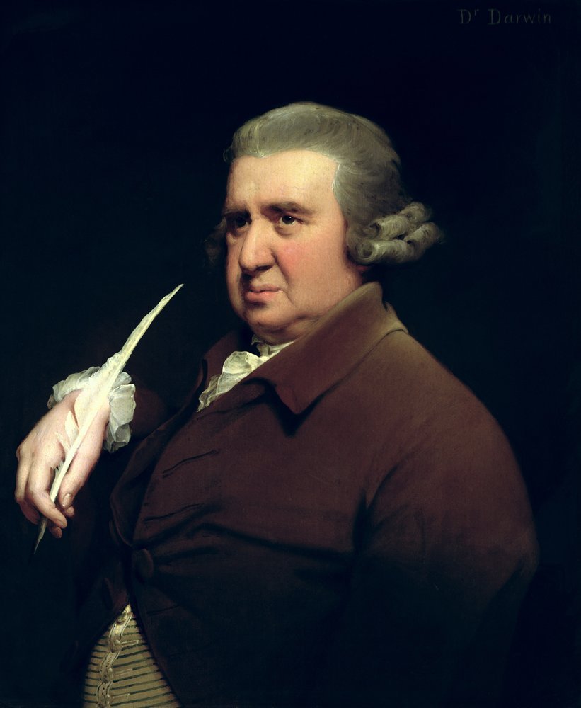 Joseph Wright of Derby Portrait of Dr Erasmus Darwin 1731 1802 scientist inventor and poet grandfathe MeisterDrucke 897941
