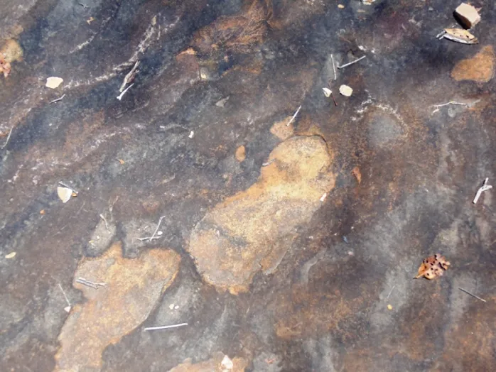 PEGADAS DE SANTO ANTÔNIO