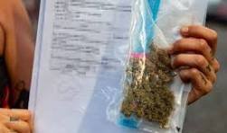 maconha argentina agencia publica