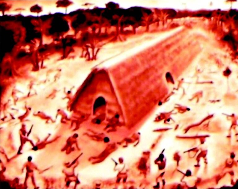 INDÍGENAS “PATENTEADOS”