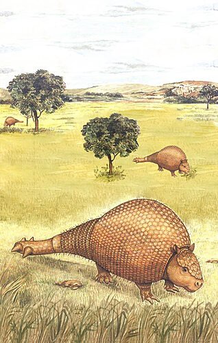 PATRIMÔNIO CIENTÍFICO ESCONDIDO NO OESTE DA BAHIA 6 GLIPTODONTE color