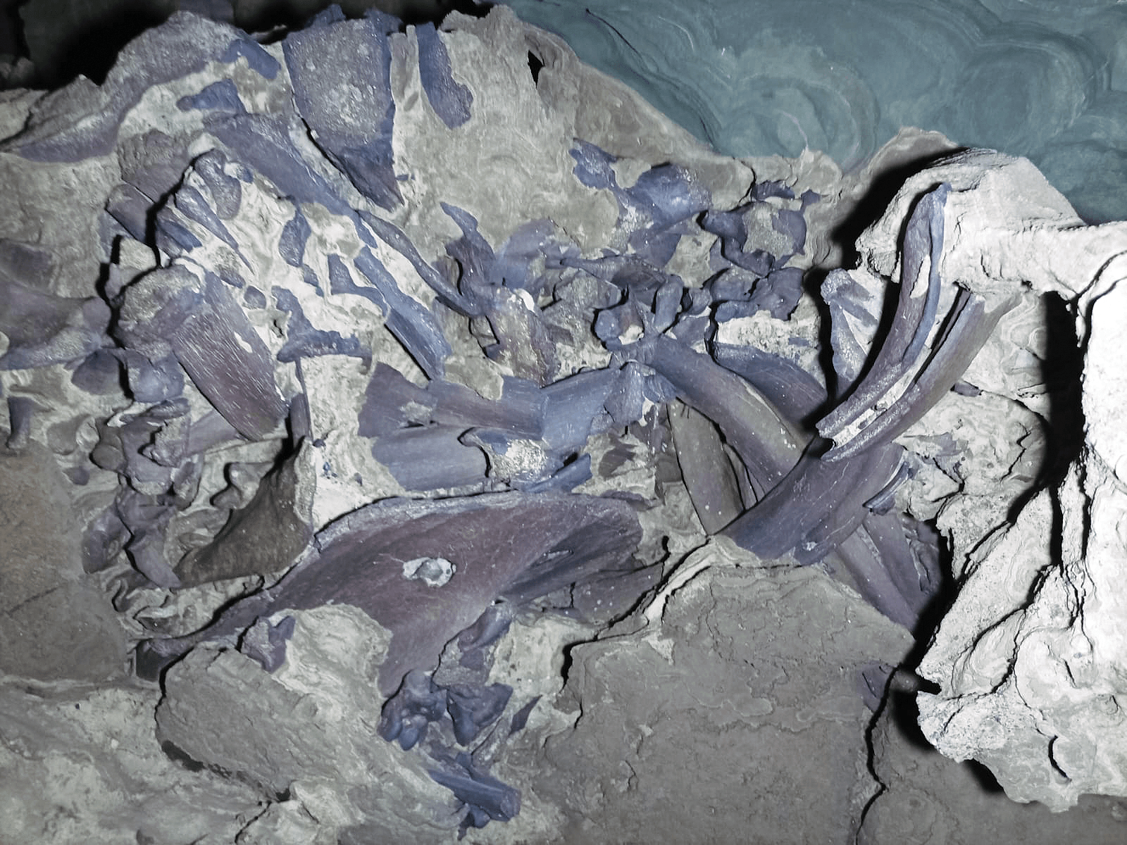 PATRIMÔNIO CIENTÍFICO ESCONDIDO NO OESTE DA BAHIA 1 WhatsApp Image 2026 01 24 at 21.11.46