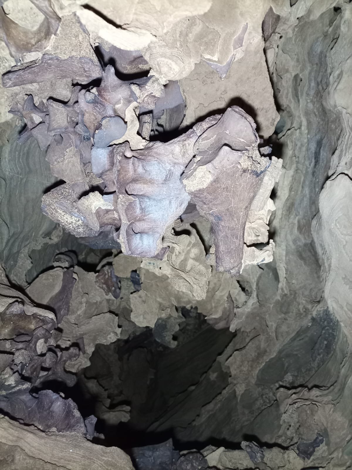 PATRIMÔNIO CIENTÍFICO ESCONDIDO NO OESTE DA BAHIA 3 WhatsApp Image 2026 01 24 at 21.11.47