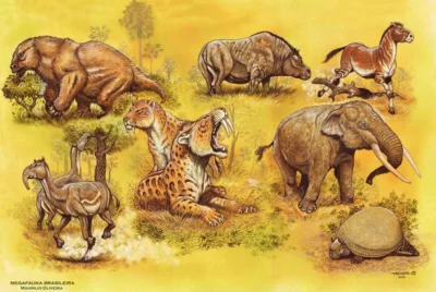 PATRIMÔNIO CIENTÍFICO ESCONDIDO NO OESTE DA BAHIA 