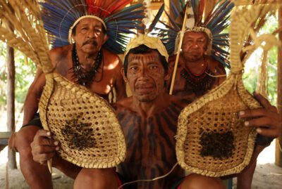 tucandeira DIVUGACAO