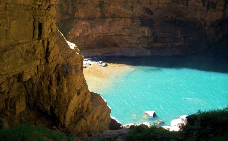 CERRADO, BERÇO ANCESTRAL DA VIDA