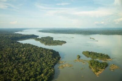 SOS Amazônia: desmatamento chegou a 62 mil km2