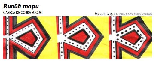 WhatsApp Image 2026 02 06 at 10.43.44q