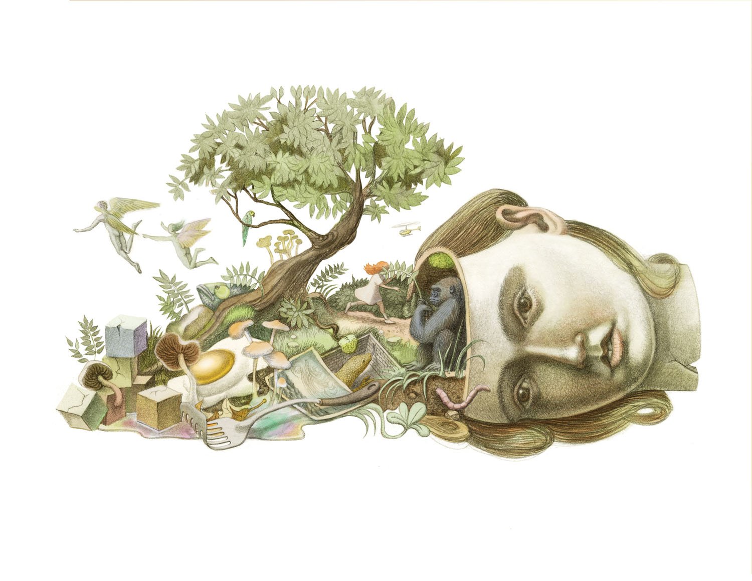 HOME 6 TECER UM MUNDO NOVO