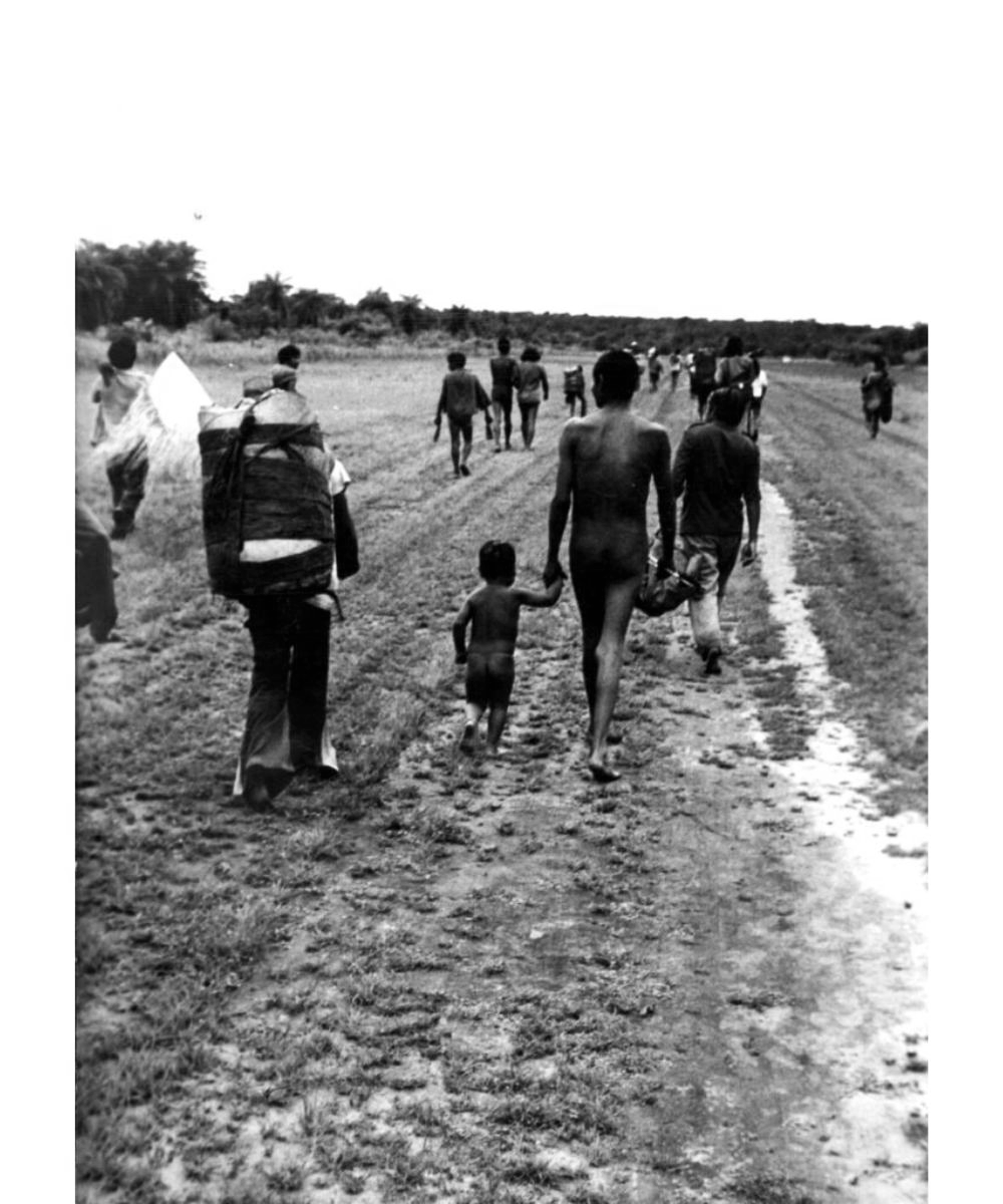 26 03 remocao indigenas parana sedoc funai arquivo