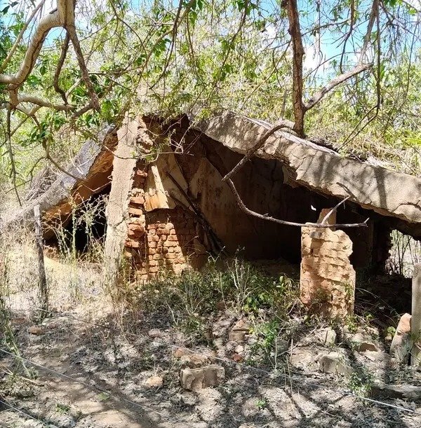 whatsapp image 2021 09 15 at 16.39.03 1