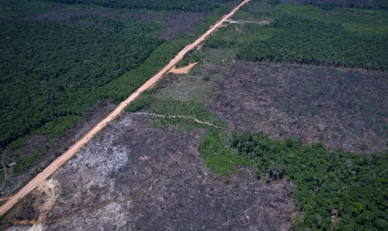 Câmara aprova projeto que enfraquece o monitoramento de desmatamento por satélite