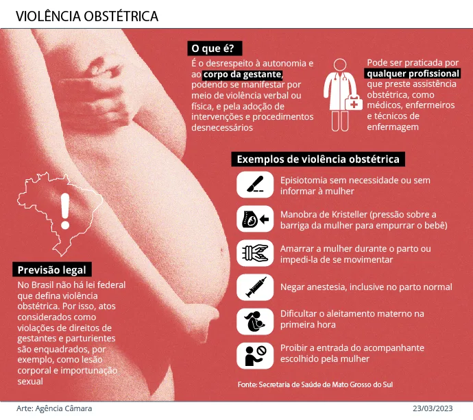 DOULAS: DA PRÁTICA ANCESTRAL À PROFISSÃO REGULAMENTADA 10 desktop 1